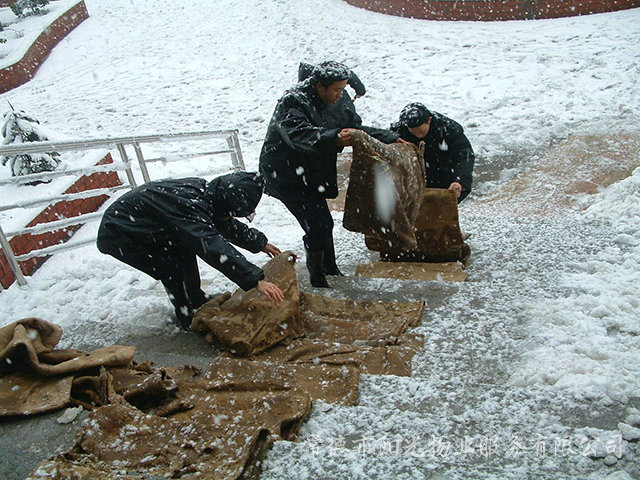 冰災除雪