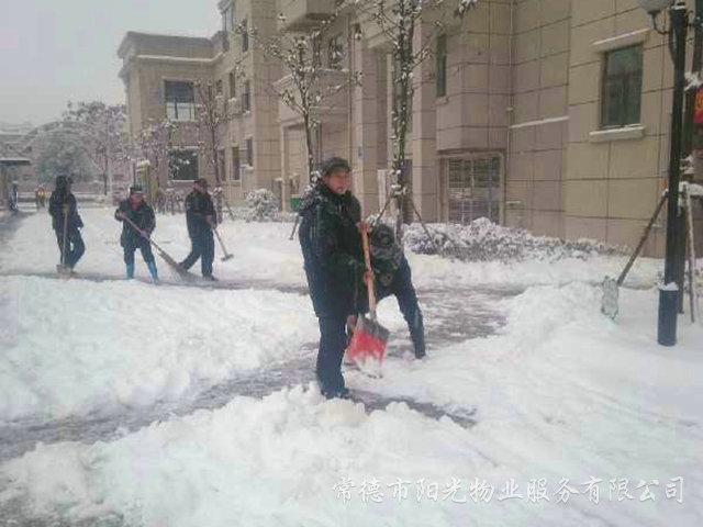 確保業主出行冰災除雪