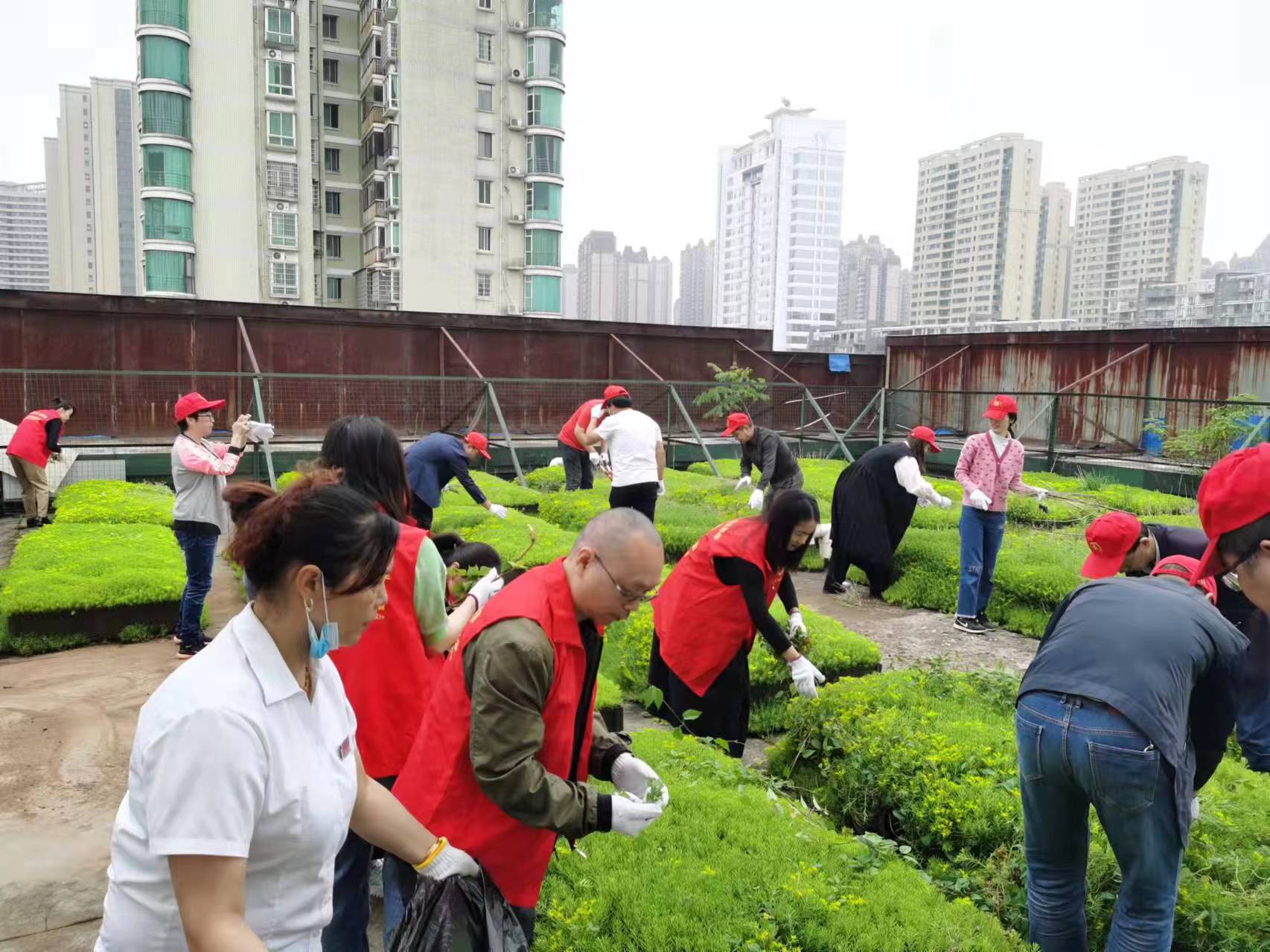 常德物業管理,物業企業,陽光物業